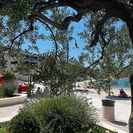 Apartment A&m Marina